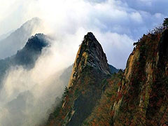 電能管理系統(tǒng)在南召污水廠(chǎng)的應(yīng)用